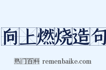 向上燃烧造句是什么意思的图片